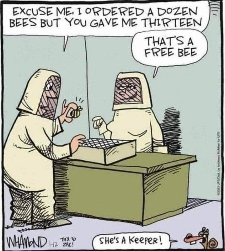 One panel comic. Two people wearing beekeeping equipment - one male, one female - stand at a table. The man asks "excuse me, I ordered a dozen bees but you gave me thirteen." to which the woman smugly replies "that's a free bee."
A squirrel in the bottom right corner retorts "she's a keeper!" One panel comic. Two people wearing beekeeping equipment - one male, one female - stand at a table. The man asks "excuse me, I ordered a dozen bees but you gave me thirteen." to which the woman smugly replies "that's a free bee."
A squirrel in the bottom right corner retorts "she's a keeper!"