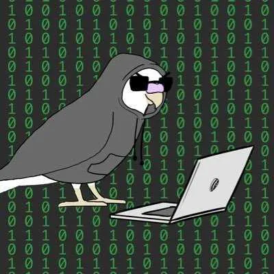 Cybirdspace's avatar